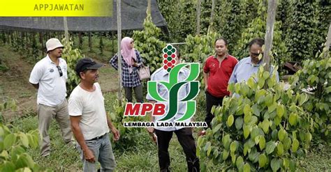 Jawatan kosong di lembaga lada malaysia (mpb). Jawatan Kosong di Lembaga Lada Malaysia (LADA) - 7 ...