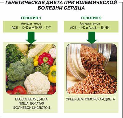 Средиземноморская Диета При Стенокардии — Похудение Диета Правильное Картинка - Средиземноморская Диета При Стенокардии — Похудение Диета Правильное