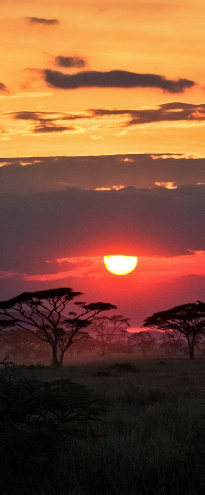 Serengeti Sky Tanzania Beautiful Sunset Beautiful World Beautiful