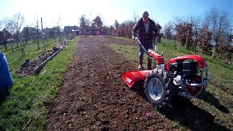 Informiere dich über neue fräse garten kaufen. Garten fräsen kosten - Pflanzen für nassen boden