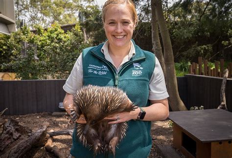 Best Career Working With Animals The Catholic Weekly