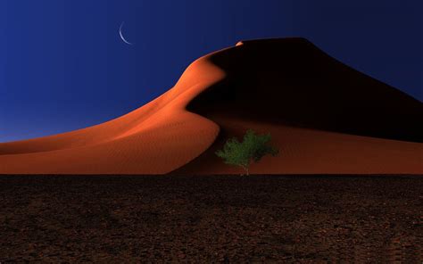 Night In The Desert Amazing Desert Scenery Desktop Wallpapers Preview