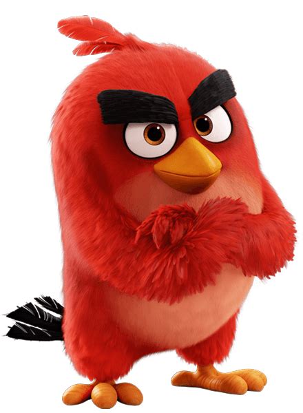 Image Red Bird The Angry Birds Movie Png Transparent Imagepng
