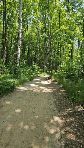 2023 Best 10 Waterfall Trails In Michigan Alltrails