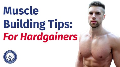 5 Powerful Muscle Building Tips For Hardgainers Unrealistic Trends