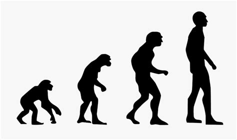Evolution Human Evolution The Theory Of Evolution Free Evolution Of