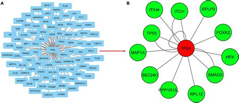 Frontiers Mapping Transcriptome Data To Proteinprotein Interaction