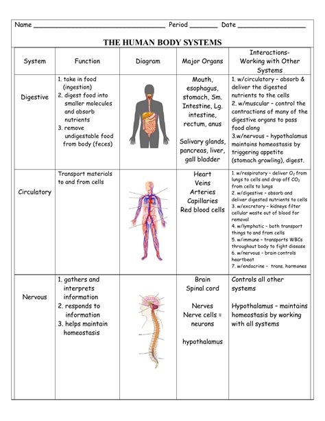 Body Systems Interactions Chart