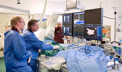 Electrophysiology Study Melbourne Heart Rhythm