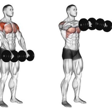 Shoulder flexion is movement of the shoulder in a forward motion. Front & Lateral Shoulder Raises - Exercise How-to ...