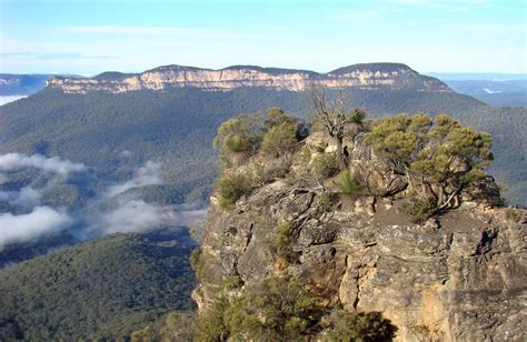 Guided Abseiling Adventures In The Blue Mountains Visitor Info Nsw