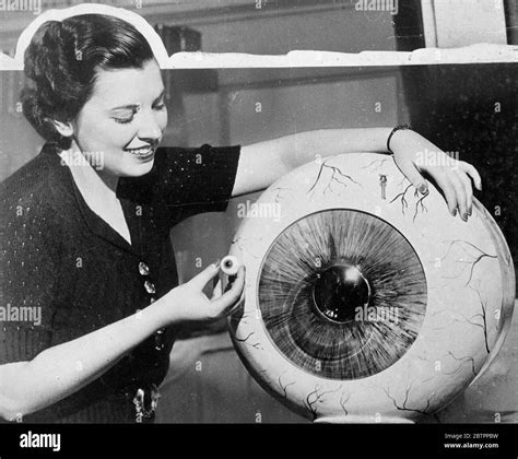 Model of the human eye 42 times larger-than-life shown at American