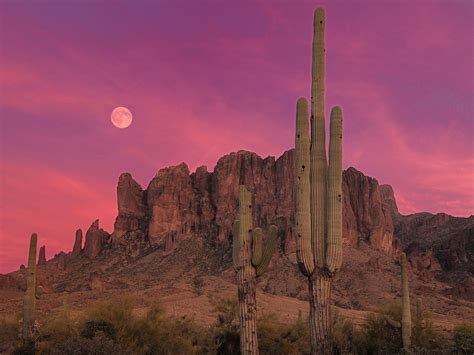 50 Arizona Desert Cactus Wallpapers Download At Wallpaperbro
