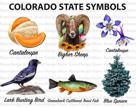 Colorado State Symbols Ubicaciondepersonascdmxgobmx