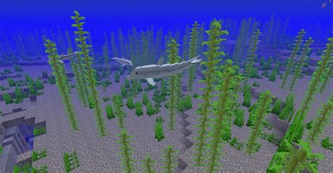 However, it can work by itself. Mod Better Animals Models - 1.10.2 → 1.16.4 • Minecraft.fr