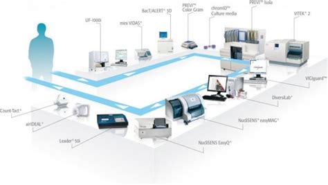 Full Microbiology Lab Automation Fmla The Future Of Th