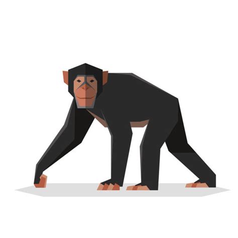 Howler Monkey Illustrations Royalty Free Vector Graphics And Clip Art