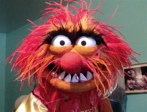 Muppets Animal Face