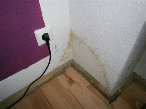 Vier wirksame hausmittel gegen schimmel: Was tun bei Schimmel im Schlafzimmer?