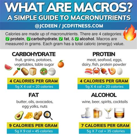 What Are Macros Everything You Need To Know About Macronutrients