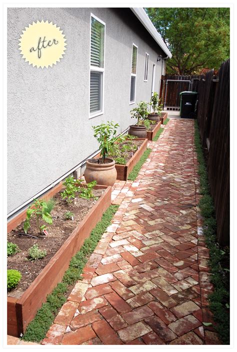 Irish moss fills the voids between these gorgeous flagstone pavers while a long bed of alyssum twists along the walk. side yard: gravel to garden. | Wild Ink Press