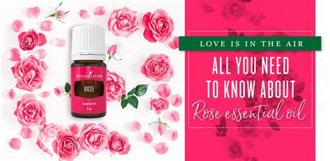 I've put off writing this blog post about young living ranks and being a business builder so many times it's. All you need to know about Rose essential oil - Young ...