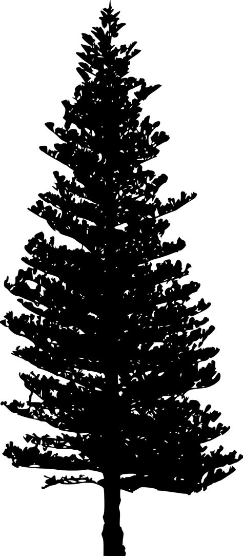 10 Pine Tree Silhouette Png Transparent