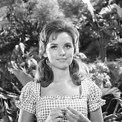 Revisiting The Grave Of The Beloved Mary Ann Dawn Wells Memory Lives On