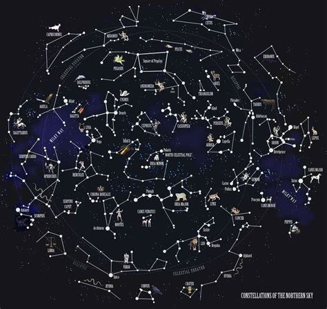 The Constellations Of The Northern Sky Fine Art Print By Jacqui