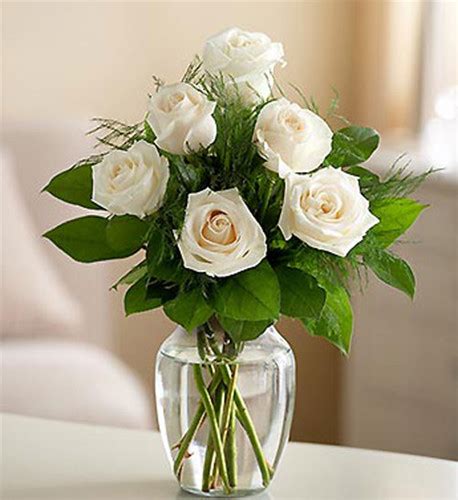 Half Dozen White Roses Allysons Flowers
