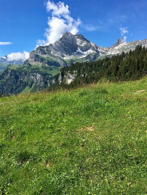 Hd Wallpaper Mountain Meadow Glarus Braunwald Alpine Landscape