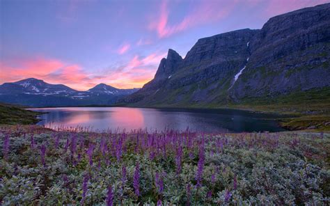 Landscape With Mountain Lake And Flowers Wallpapers Wallpaper Cave