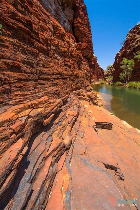 Just When You Think Youve Seen It All Hello Karijini Np