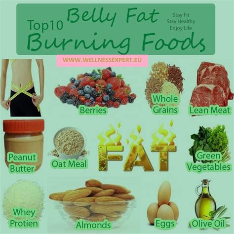 15 The Most Shared Best Foods To Burn Belly Fat Best Product Reviews