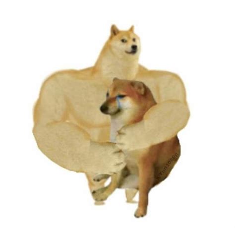 Мемы про большую собаку и маленькую собаку 45 фото