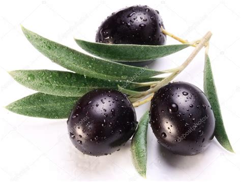Ripe Black Olives With Leaves Stock Photo By ©valentynvolkov 18973393