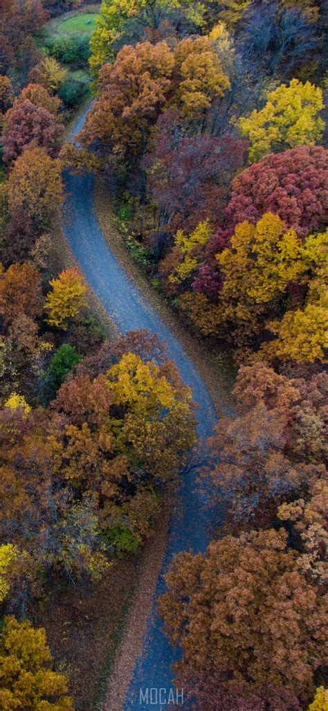 A Drone Shot Of A Curve In A Road Near Autumn Colored Trees Autumn