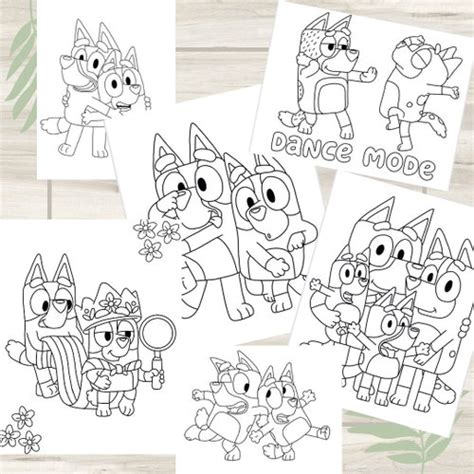 Bluey Bingo Coloring Pages 6 Pack Digital Download Etsy