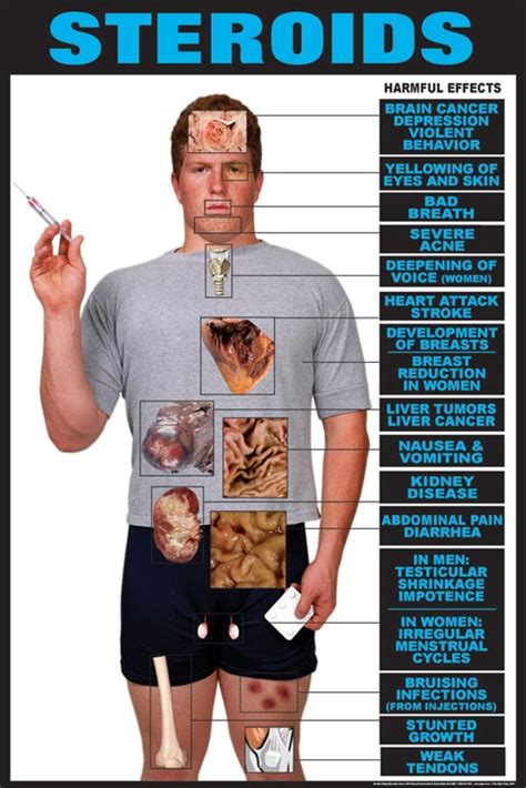 File:Steroids.png - Rx-wiki