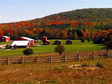 Introducing: The CareerKit in Food Production | CollectEdNY