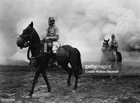 Horse Gas Mask Photos And Premium High Res Pictures Getty Images