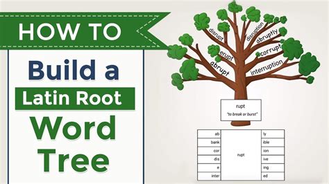 How To Teach Latin Roots With Word Trees All About Learning Press