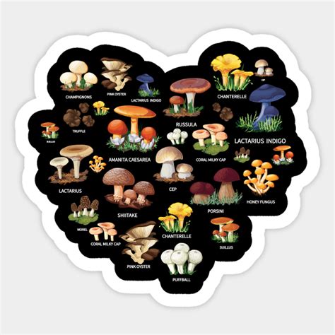 Heart Collection Edible Mushrooms And Toadstools Mycology Student