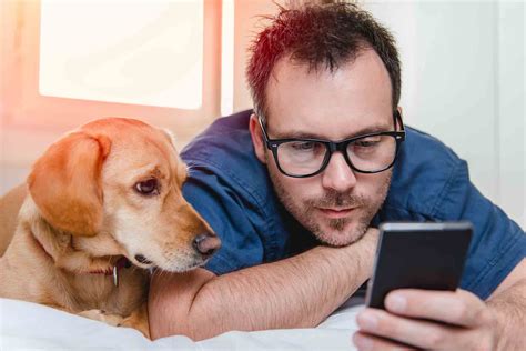 The Best Pet Apps For Busy Pet Parents Oakhurst Veterinary Hospital