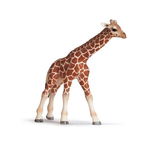 We did not find results for: Giraffe gifts | Find Unique Gift Ideas for Giraffe Lovers ...
