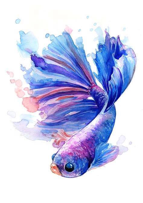 Betta Betta Betta Watercolor And White Ink A5 Art Watercolor Fish