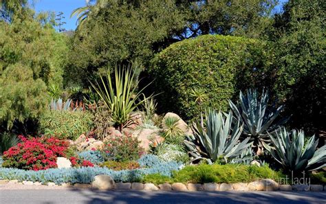 Drought Tolerant Landscapes Colorful Or Boring