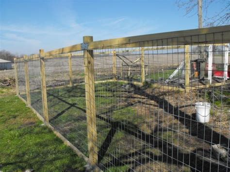 Fencing Options For Chicken Yard Chicken Fence Chickens