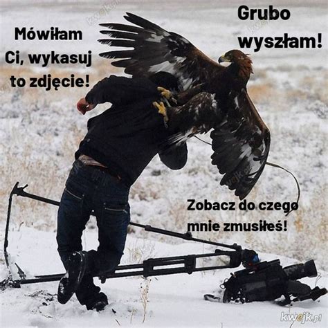 No jak sama nazwa wskazuje znajdziecie tu dowody na to, że kamerzysta i kruszwil są parą. Kamerzysta - Najlepsze memy, zdjęcia, gify i obrazki ...