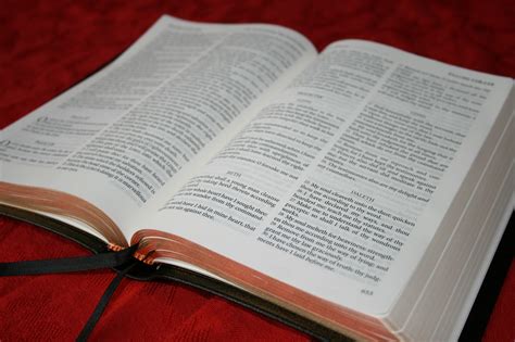 Favorite Bibles - Reading Bibles